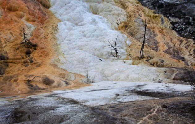 Mammoth Springs