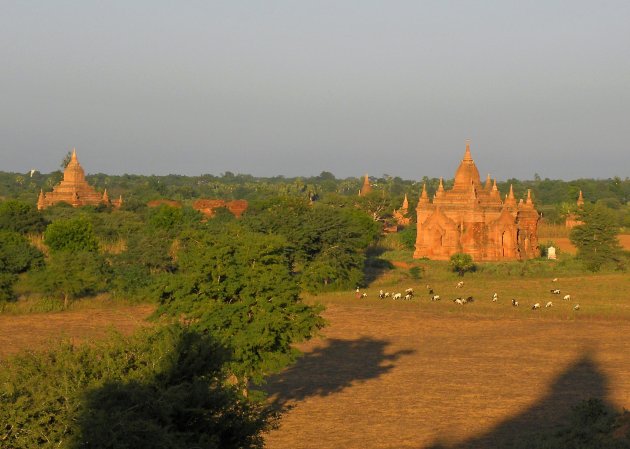 Bagan licht