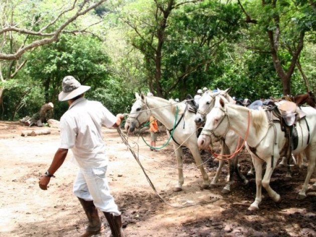 Costa Ricaanse Cowboy