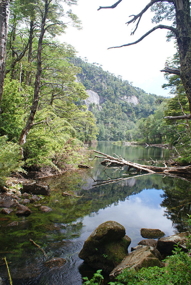 Wandelen in PN Huerquehue