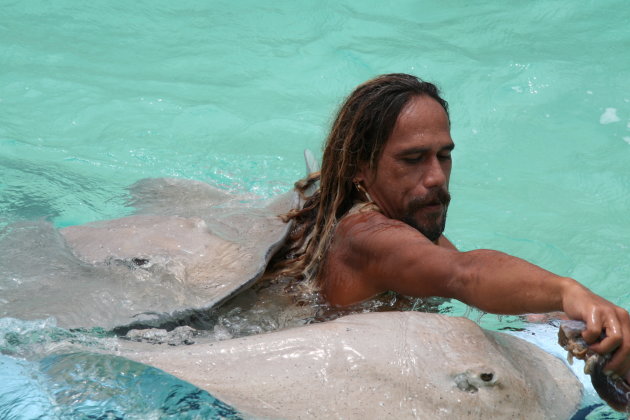 Zwemmen met Stingrays in Polynesie