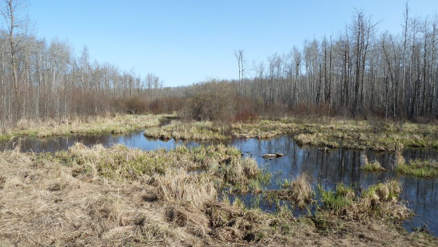 Elk Island National Park