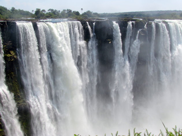 Wie gaat dit jaar naar Zimbabwe?