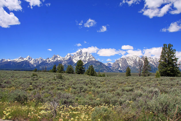 Grand Teton