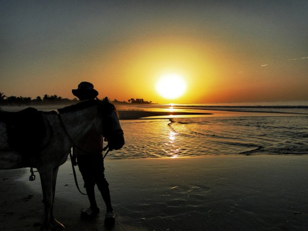 Kotu beach-life