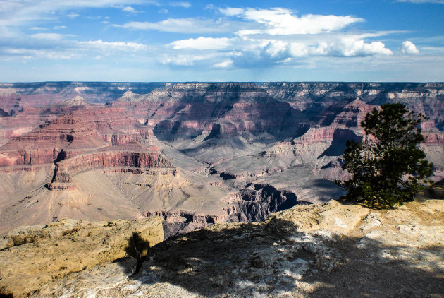 Groots Grand Canyon N.P. 