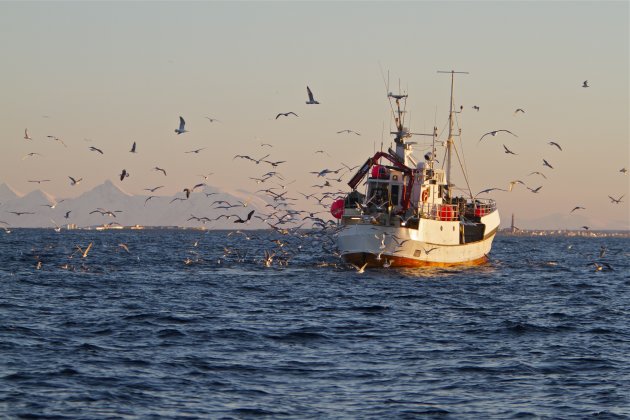 Op pad in de RIB-boot