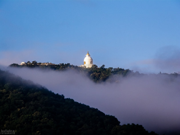 Mist in het dal