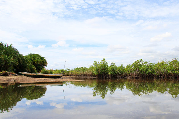 Makasutu Cultural Forest