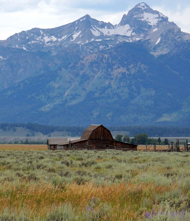 TA Moulton Barn