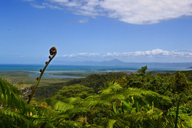 Uitzicht op de Daintree river