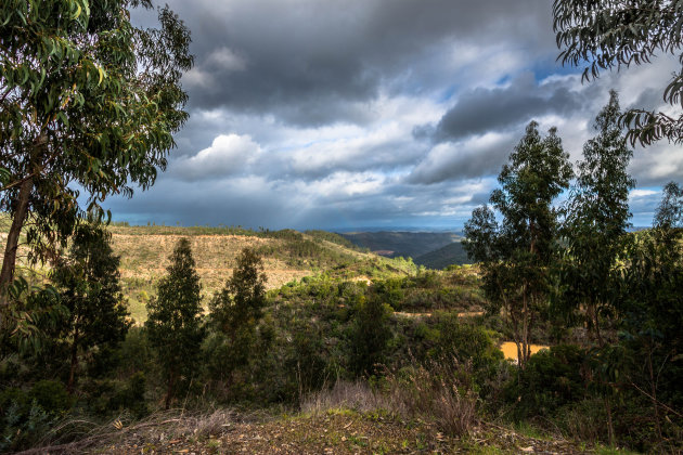 Serra de Monchique