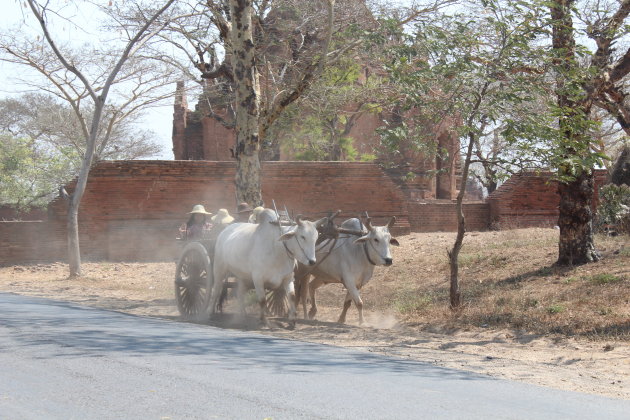 Locaal transport