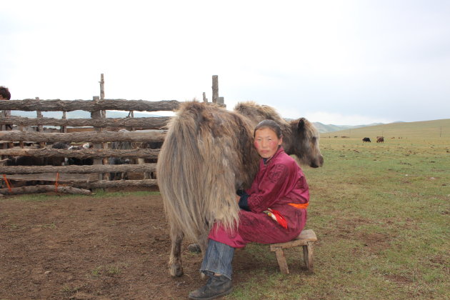 Mongolie; Dagelijks leven 3