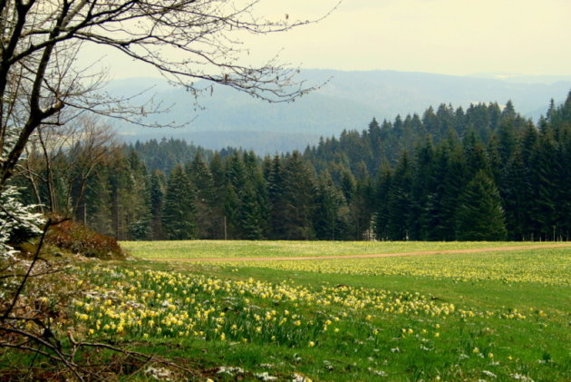 de lente is onderweg