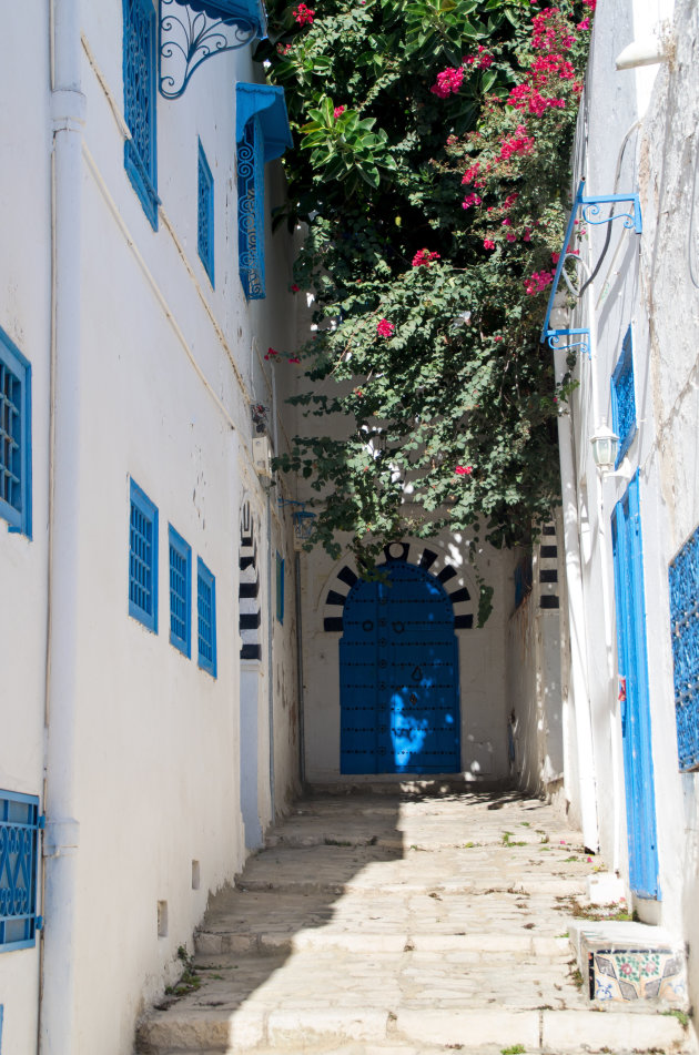 Sidi bou said