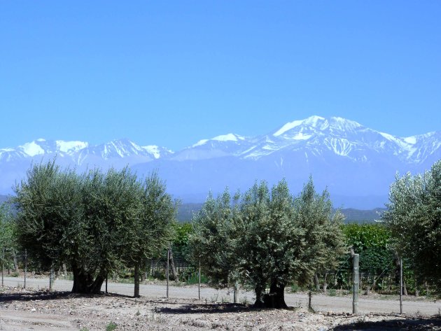 Aconcagua