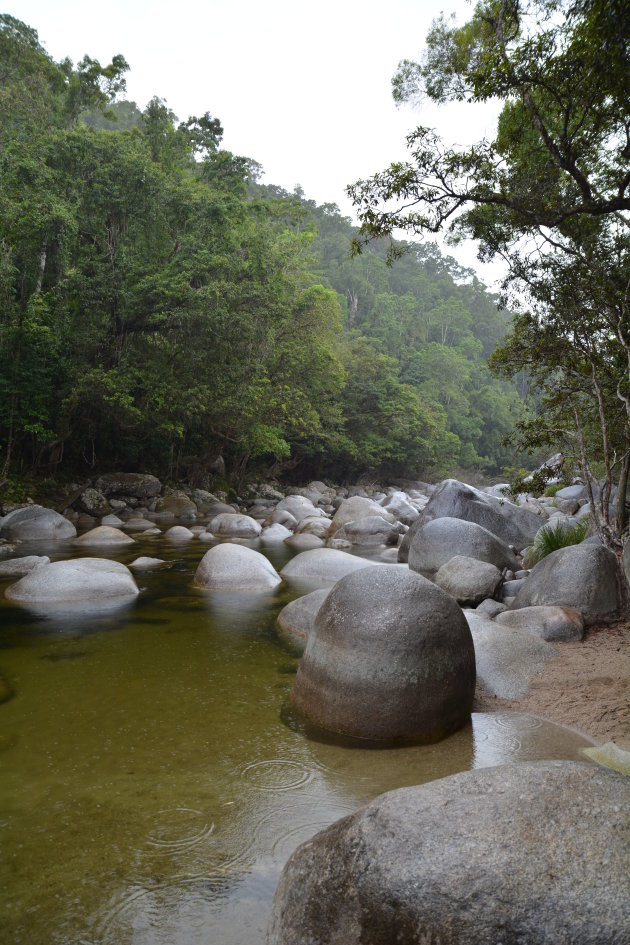 Excursie Mossman Gorge - Daintree 