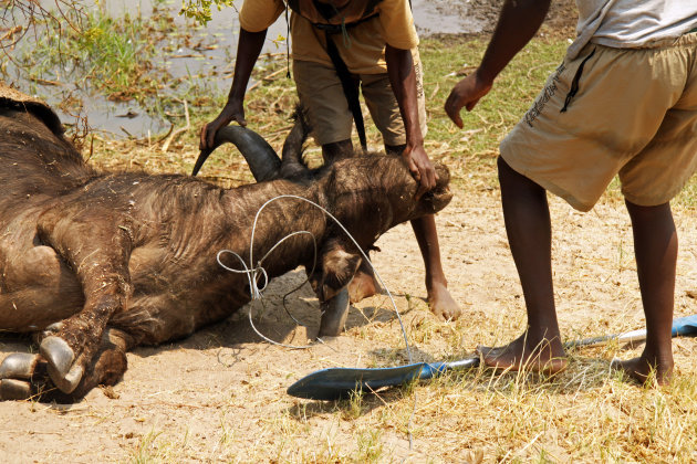 Anti poaching excursie