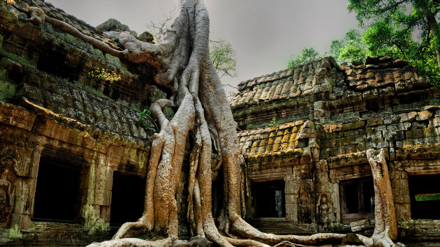 Ta Prohm Tempel