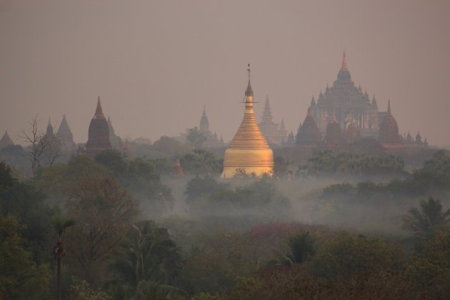 misty bagan