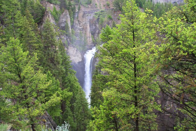 Yellowstone