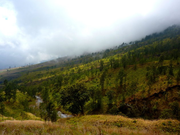 Gunung Rinjani the way down