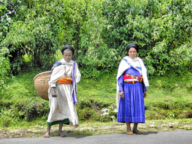 Amhara-vrouwen