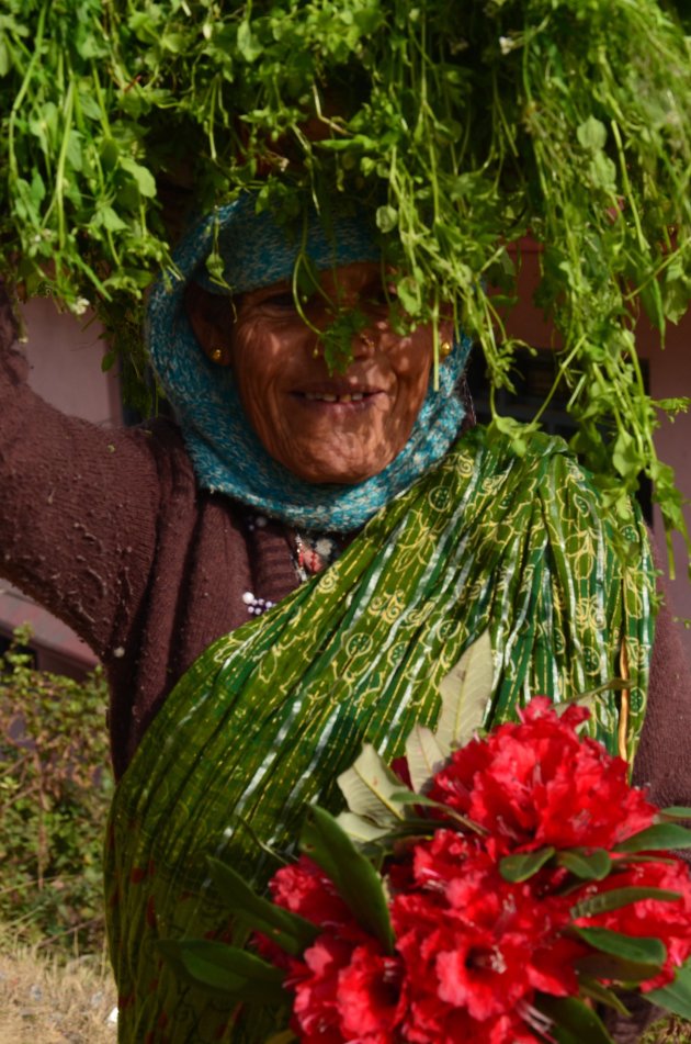 Lente in Nepal