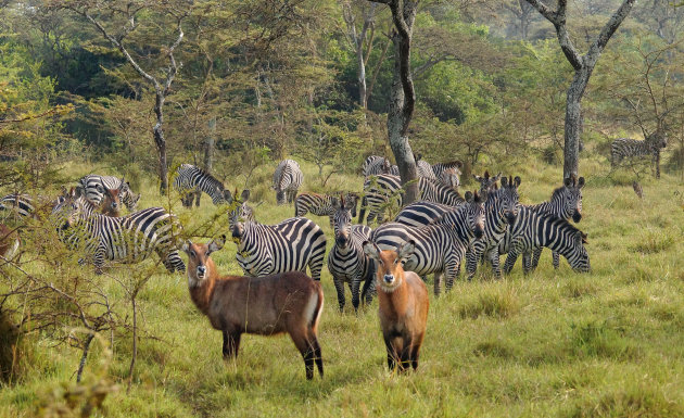 Hof van Eden bij Lake Mburo