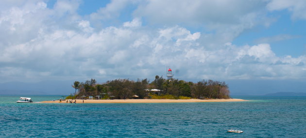 Low Isles: the little brother of the Great Barrier Reef!