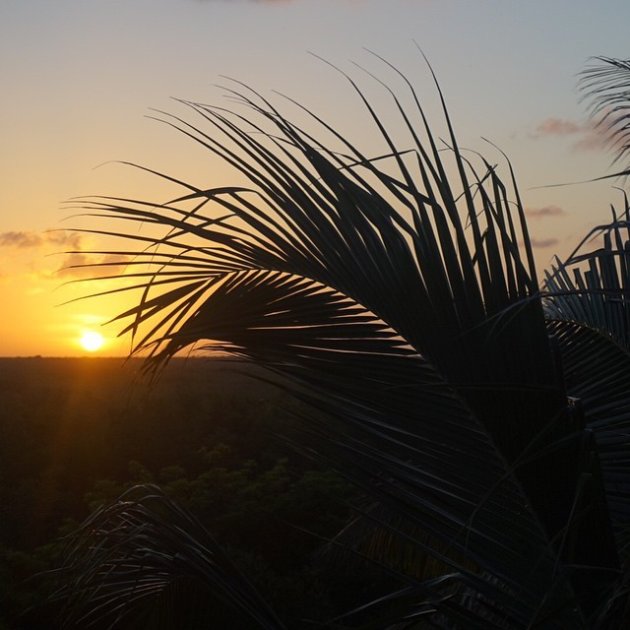 Zonsondergang in de jungle