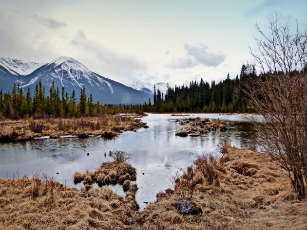 Bevroren Vermillion Lake bij Banff