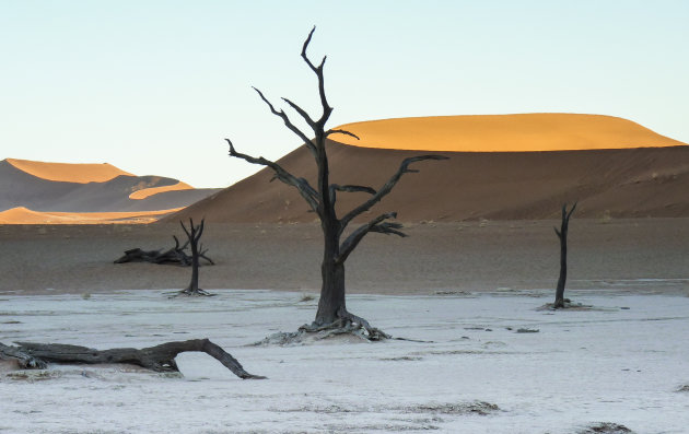 Dode vlei