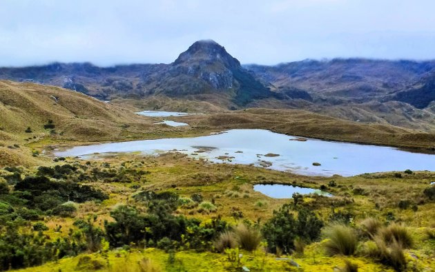 Las Cajas NP