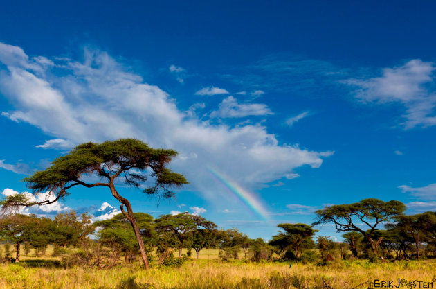 Regenboog in Blauwe Lucht