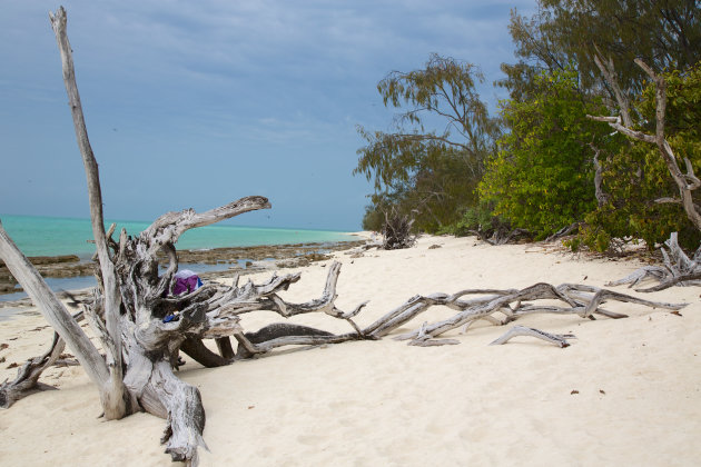 Ook 'boven-water-wereld' van de Great Barrier Reef.