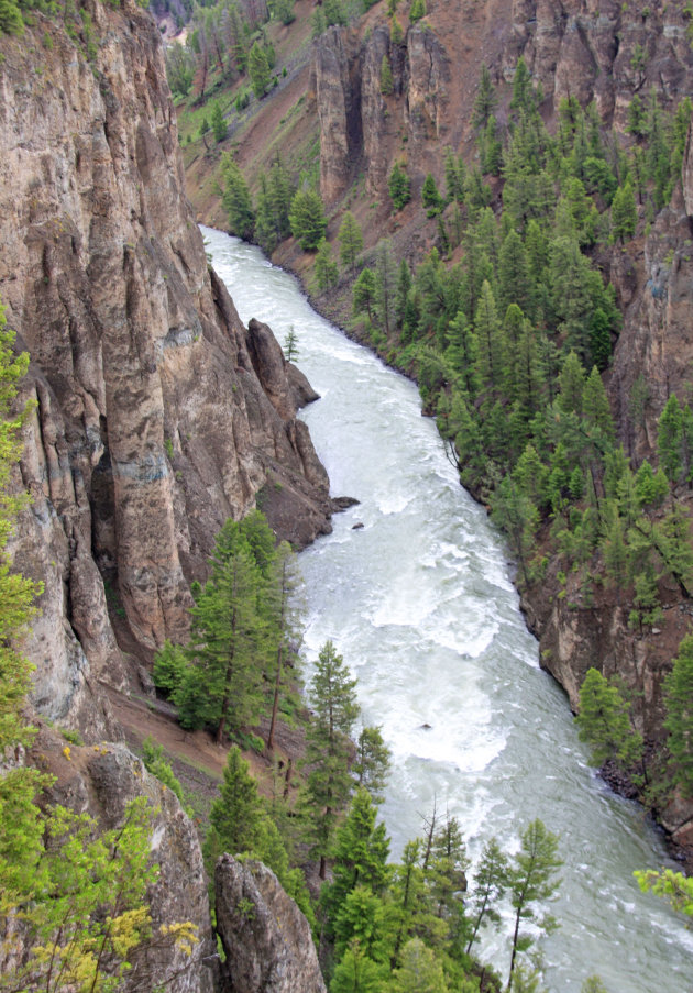 Yellowstone river