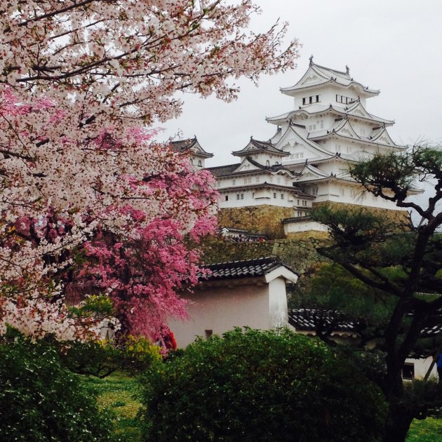 Himeji in kersenbloessemtijd