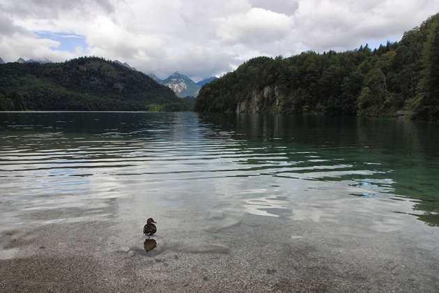 Alpsee