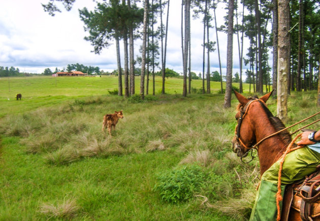 trektocht te paard door West-Cuba