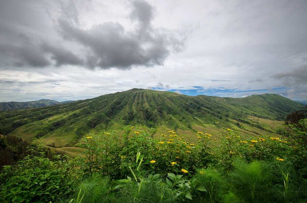 Uitzicht op Bromo Tengger Semeru NP