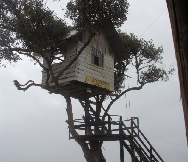 Casa del Arbol