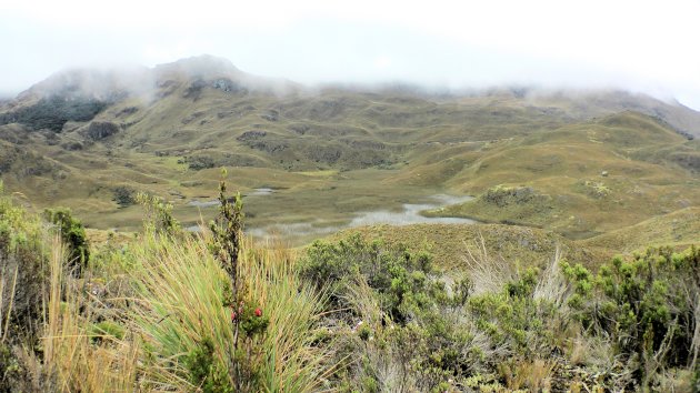 Las Cajas NP