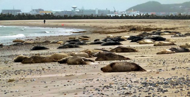 Uitzicht op Helgoland