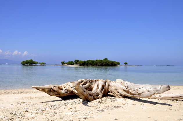 op een onbewoond eiland