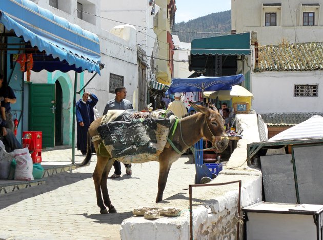 In Moulay Idriss