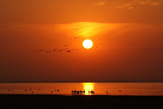 Sunrise Lake Manyara