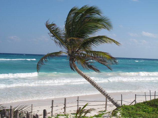 Verblijf op het strand van Tulum