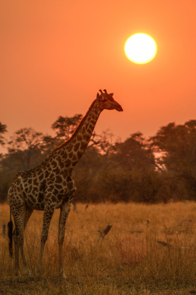 Genieten van een zonsondergang